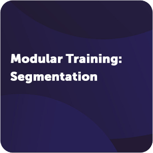 Modular Training - Segmentation